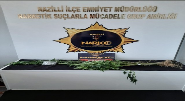 Sultanhisarda 20 kök hint keneviri ele geçirildi