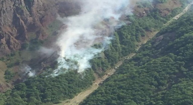 Tuncelide orman yangını, ekipler müdahale ediyor