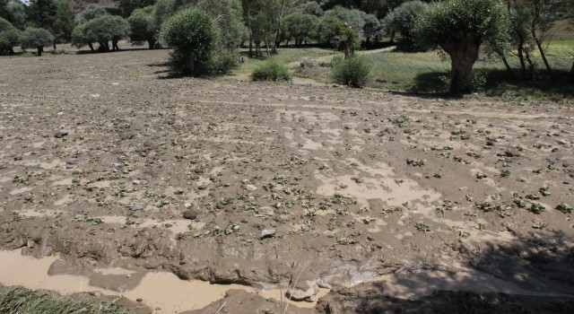 Yozgatta etkili olan sel ekili alanlara zarar verdi
