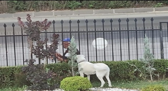 Bakan Selçuk sosyal medya hesabında köpeğe gazete okuyan vatandaşı paylaştı