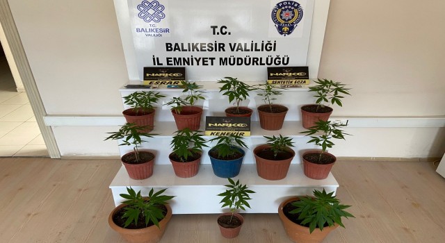 Balıkesirde polisten 9 şüpheliye uyuşturucu operasyonu