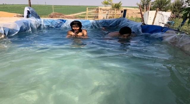 Mardinde köy çocukları brandadan yapılan havuzda serinliyor