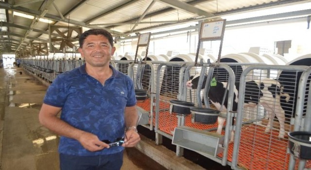 (ÖZEL) Tavşanlıda Türkiyeye örnek olacak modern süt sığırcılığı tesisi