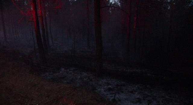 Uşakta 9 farklı noktada çıkan orman yangınları söndürüldü