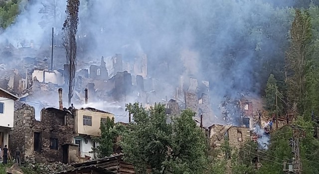 Artvinin Yusufeli ilçesi Yüncüler köyündeki yangın kontrol altına alındı