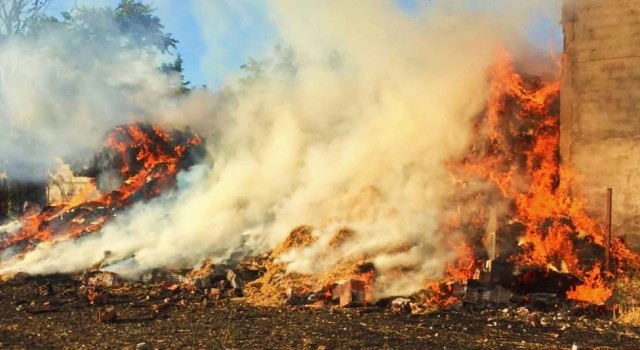 Edirnede yangında 3 bin 500 saman balyası yandı