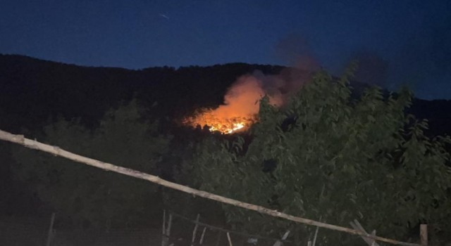 Kovada Gölü Milli Parkındaki yangın söndürüldü