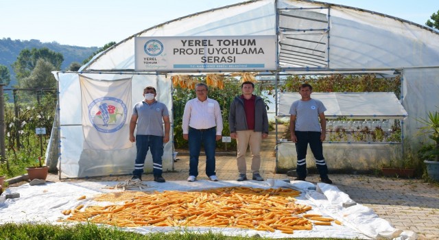 14 çeşit ürünün ata tohumları üretildi