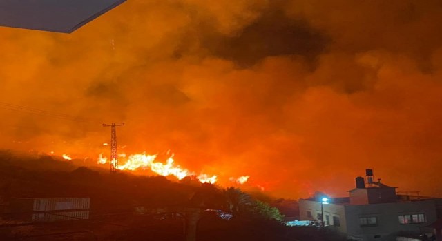 İsrail'de orman yangını