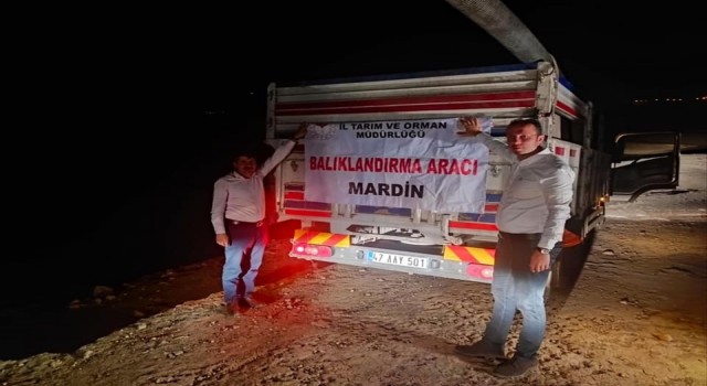 Mardinde göletlere 918 bin yavru sazan balığı bırakıldı