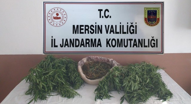 Mersinde 1,5 kilo kubar esrar ele geçirildi