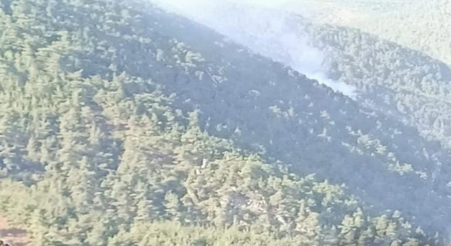 Ormana düşen yıldırım yangına neden oldu