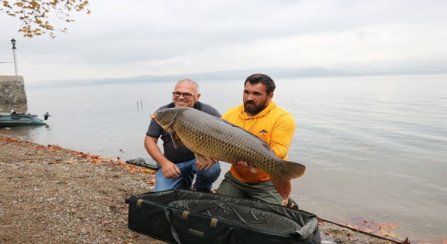 Sapanca Gölünde 23 kiloluk sazan yakaladı, sezonun rekorunu kırdı