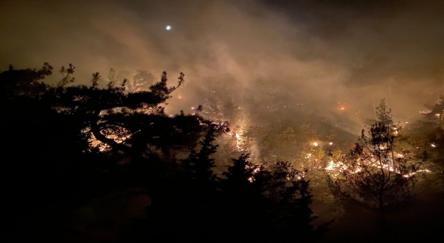 Uşakta çıkan yangında 2.5 hektar alan kül oldu