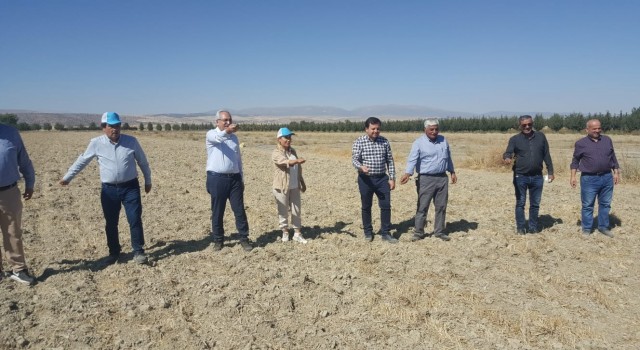 Antalyada Karakilcik Bugdayi Uretilmeye Baslandi