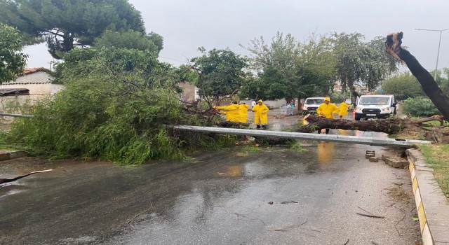 Aydın Büyükşehir Belediyesi ekiplerinden fırtınaya hızlı müdahale