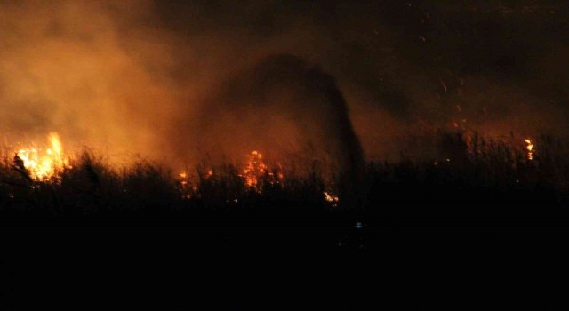 Beyşehir Gölü Milli Parkındaki sazlık yangını kontrol altına alındı