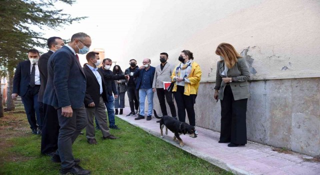 Hitit Üniversitesinde Köpek Evi projesi hayata geçirildi