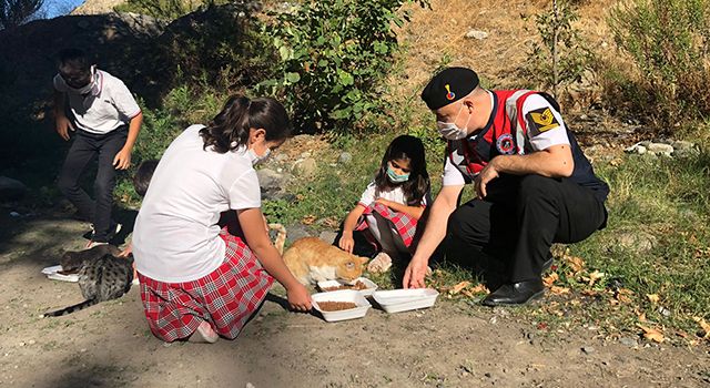 Jandarma, öğrencilerle birlikte sokak hayvanlarını besledi