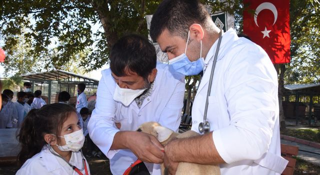 Küçük Veteriner Hekimler Hayvanların Kalbini Dinledi