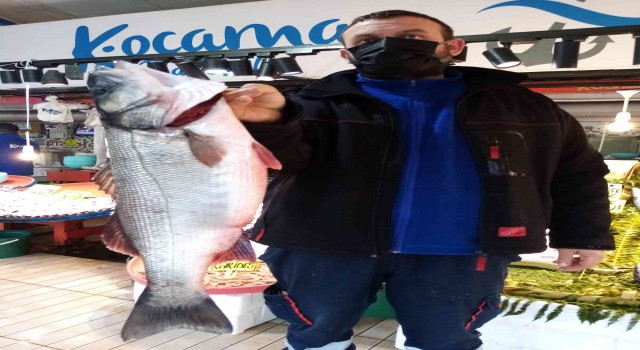 Balıkçıların ağına takıldı 900 Liraya satışa çıktı