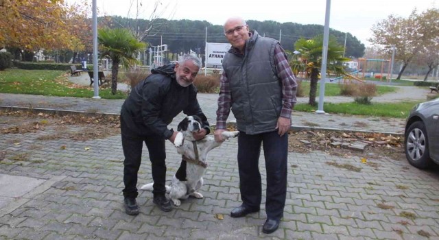 Balıkesirde İstiklal Marşı okunurken eşlik eden köpek ilgi odağı oldu