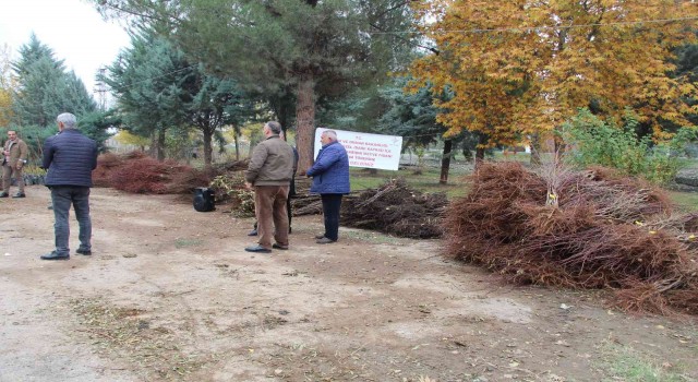 Batmanlı çiftçilere karışık meyve fidanı dağıtıldı