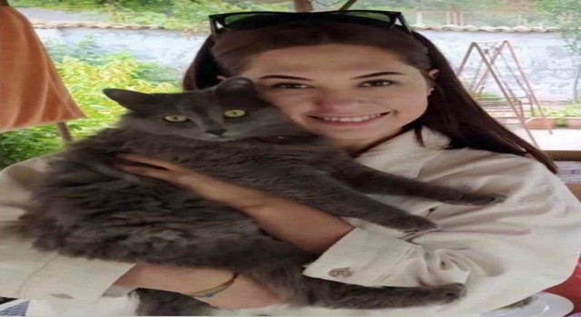 genc doktorun kahreden olumu kedisini kurtarmaya calisirken dusup oldu