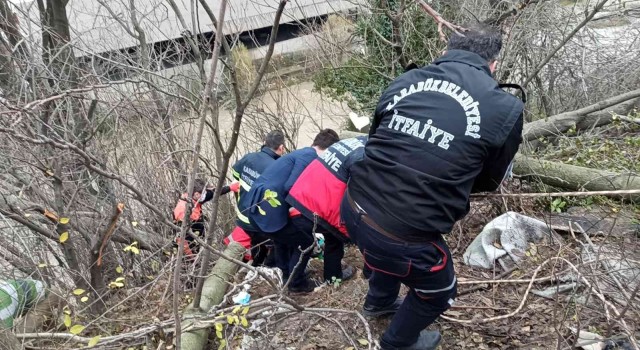 Ağaç keserken uçuruma yuvarlandı