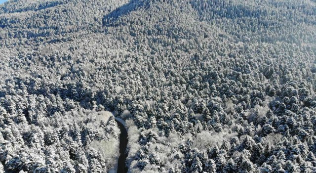 Bolunun karla kaplı ormanları havadan görüntülendi