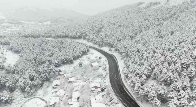 İstanbulda etkili olan kar yağışıyla Aydos Ormanı beyaza büründü