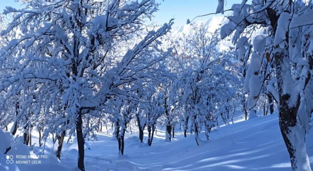 Meteorolojiden Batman ve çevre ileri için kar uyarısı geldi