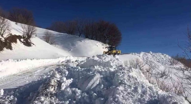 Siirtte kar nedeniyle 73 köy yoluna ulaşım sağlanamıyor