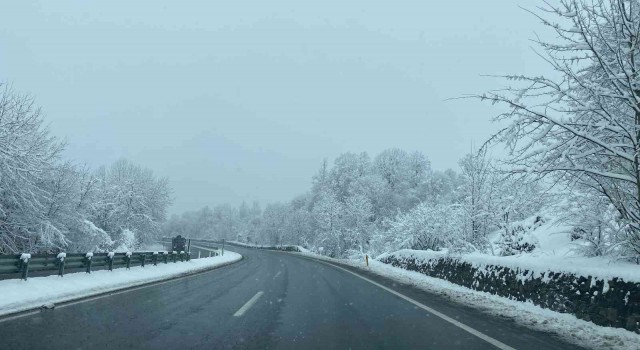Zonguldakta buzlanan yolda sis görüş mesafesini düşürdü