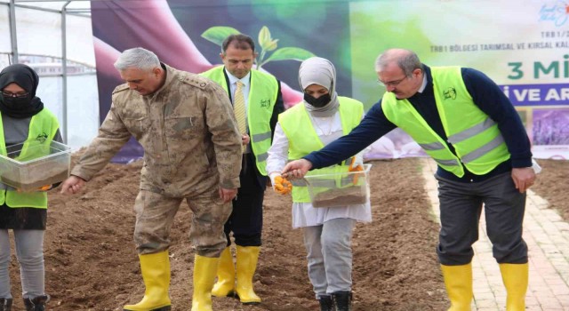 3 milyon aromatik fide tohumu toprakla buluştu