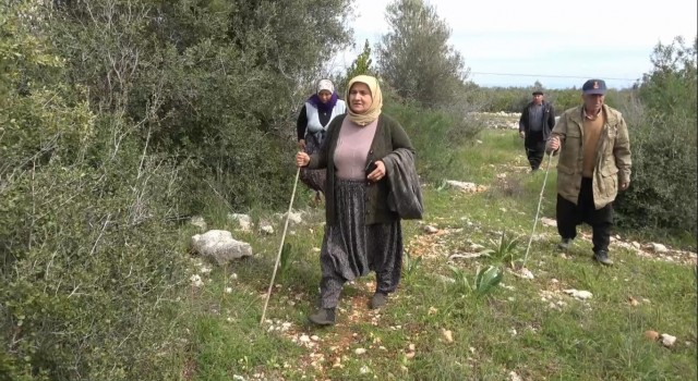 4 gündür kayıp olan 3 çocuk annesi kadın zeytinlikte bulundu