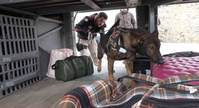 43 ilin geçiş güzergahında sıkı denetim: Narkotik köpeği Adam didik didik arıyor
