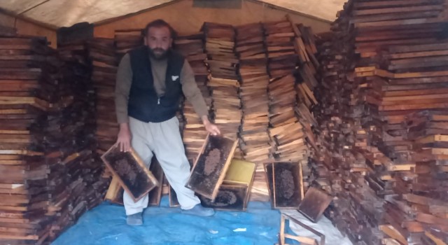Adanada 500 kovandaki binlerce arı telef oldu