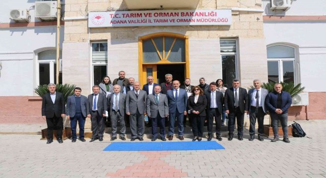 Adanada ki zirai don olaylarının tarımsal üretime zararı değerlendirildi