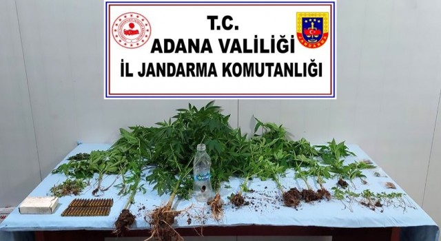 Adanada uyuşturucu operasyonu