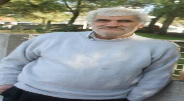 Ağaç keserken elektrik akımına kapılarak öldü