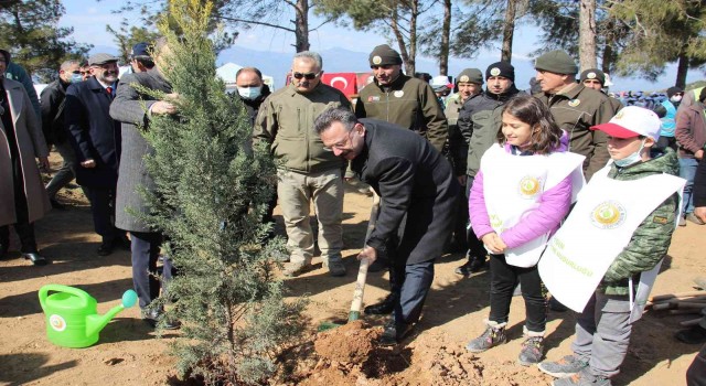 Aydında 10 bin adet fidan toprakla buluştu