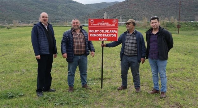Aydında yerli tohum kullanımının arttırılmasına yönelik çalışmalar sürüyor