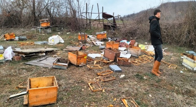 Baba yadigarı idi, gördükleri manzara ile şoke oldular