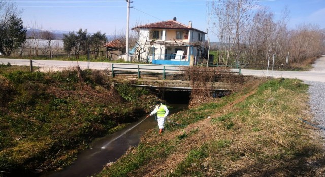 Bafra Belediyesinden sivrisineklere karşı larva mücadelesi