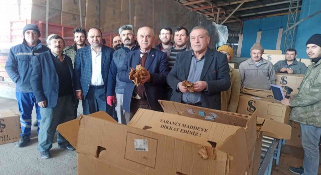 Bafrada tütün alımları başladı