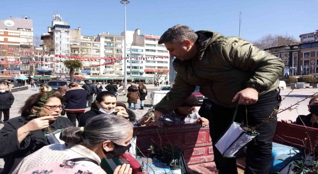Bandırma da 3 bin adet fidan dağıtıldı