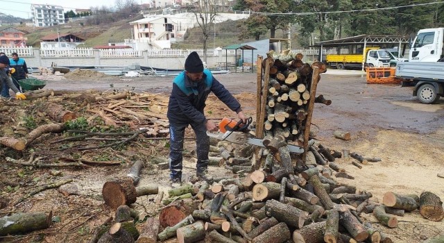 Başiskelede yakacak odun yardımları sürüyor