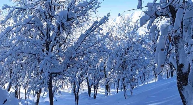 Batmanda kar yağışı nedeniyle kapanan köy yolları açılıyor
