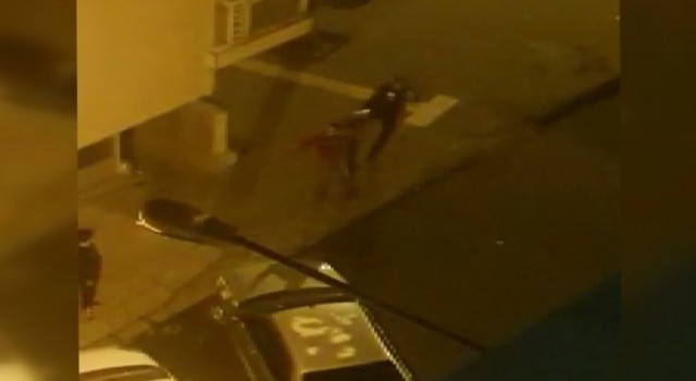 Bekçiden tüfekli adama tekmeli müdahale